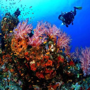 Hurghada sharm