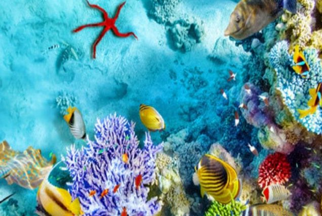 Day Trips from Hurghada to Luxor