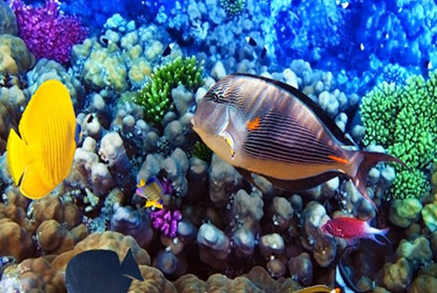 Hurghada Luxor Day Trip